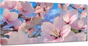 Vászonkép 180x90 Gyönyörű virágok