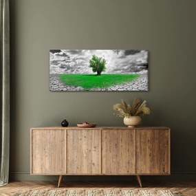 Kép - egy darab természet a városban (120x50 cm)