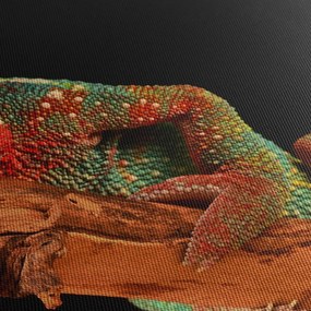 Kaméleon az ágon képe (70x50 cm)
