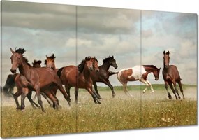 Vászonkép 120x80 Ló Lovak Lovaglás