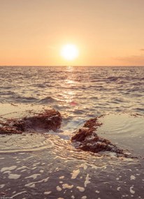 Poszter 20,5x28,4cm Naplemente a tengerparton, Assaf Frank