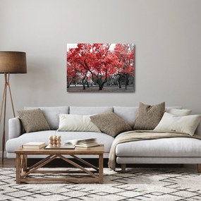 Kép - vörös fák, Central Park, New York (70x50 cm)