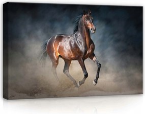 Vászonkép 60x40 Ló mozgás por szabadság erő dinamika energia kecsesség erő sötét