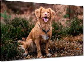 Vászonkép 100x70 Kutya Kutyák