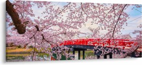 Kép - Hirosaki, Japán (120x50 cm)