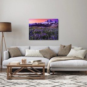 Kép - Vulkán és a virágok (70x50 cm)
