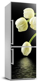 Matrica hűtőre Fehér tulipán FridgeStick-70x190-f-53318527