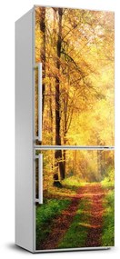 Dekor matrica hűtőre Erdő ősszel FridgeStick-70x190-f-91078750
