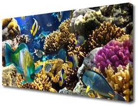 Vászonkép Barrier Reef Nature 100x50 cm