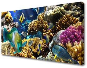 Vászonkép Barrier Reef Nature 120x60 cm
