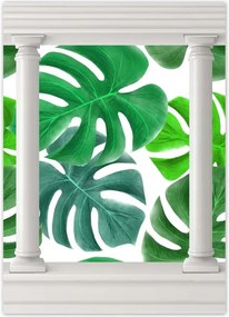 Poszterek 50x70 Levelek Monstery Trópusok