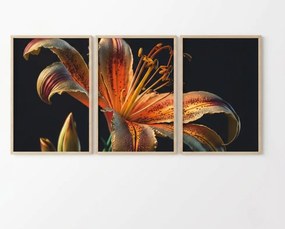 Huhu221 - 35 x 50