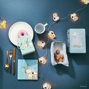 PEANUTS égősor Snoopy USB csatlakozóval, 20 LED égő