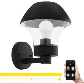 Eglo 97446 - LED Dimmelhető kültéri fali lámpa VERLUCCA-C 1xE27/9W/230V Bluetooth