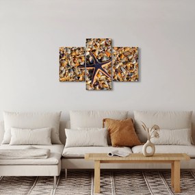 Egy tengeri csillag képe (90x60 cm)