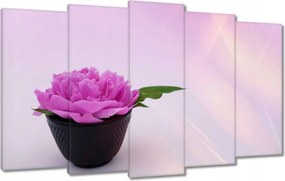 Vászonkép 100x60 Spa Wellness Virág