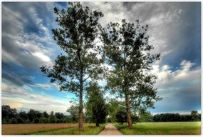 Poszterek 120x80 Vidéki út