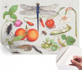 Fotótapéta Öntapadós tapéta a szobába Természeti illusztráció 152x104