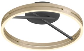 ZUMA LINE 6552-68 PURE LOOP Kerek Mennyezeti Lámpa Fekete, Sárgaréz LED IP20
