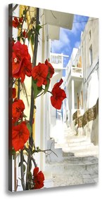 Vászonfotó Mykonos görögország ocv-2987309