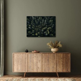 Kép - Forest (70x50 cm)