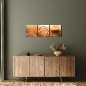 Kép - Fű a napon (órával) (90x30 cm)