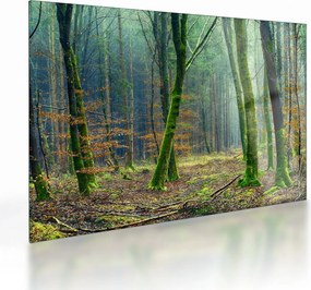 Az erdő képe (üvegen) (70x50 cm)