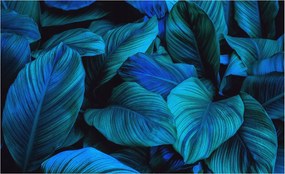 Fali fotótapéta előszoba konyhába Kék levelek 416x254 Ragasztó