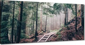 Festmények 120x60 Erdei ösvény