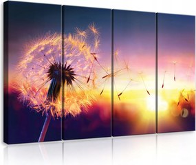 Vászonkép 120x80 Pitypang naplemente természet fény álom