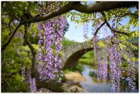 Poszterek 120x80 Japán Orient Buddhizmus