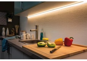 Paulmann 70667 - LED/9W IP44 Dimmelhető fürdőszobai szalag MAXLED 1,5m 6500K 230V