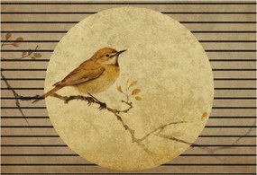 Dekoratív Fotótapéta Hálószoba Madár Harmónia 152x104 Ragasztó