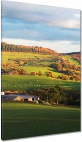 Festmények 80x120 Hegyi völgy