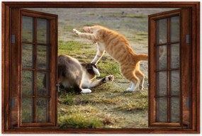 Poszterek 60x40 Cica Cicák