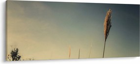 A fű képe (120x50 cm)