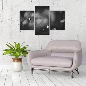 Kép - Mezei fű (90x60 cm)