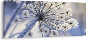 Kép - Fagyott virág (120x50 cm)
