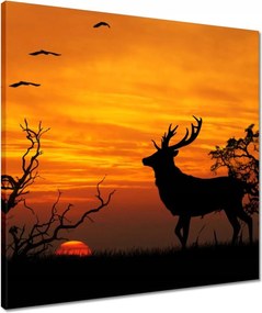 Vászonkép 50x50 Szarvas és naplemente