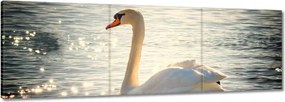 Vászonkép 60x20 Hattyú a tavon