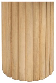 Natúr színű mangófa dohányzóasztal 60x120 cm Montmartre – Ixia