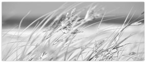 Kép - Strandfű (120x50 cm)