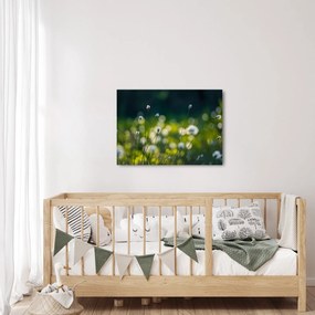 Kép - Fű (70x50 cm)