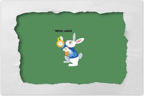 Poszterek 60x40 Nyúl Csodaországban