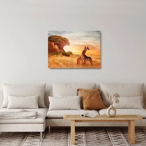 Kép - Zsiráfok Afrikában (üvegen) (70x50 cm)