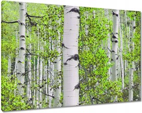 Vászonkép 100x70 Tavaszi zöld