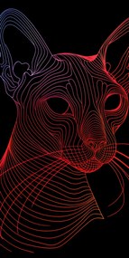 Poszter 50x100cm Digitális macska