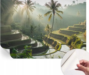 Öntapadós Stílusos Dekoratív Fotótapéta Paradicsom teraszok 152x104 cm