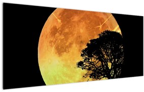 Árnyékok a holdfényben képe (120x50 cm)