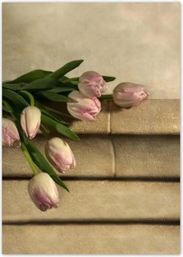 Poszterek A4 Pion Rózsaszín tulipán csokor